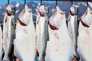 fishing-in-alaska-2021-08-26-23-02-37-utc